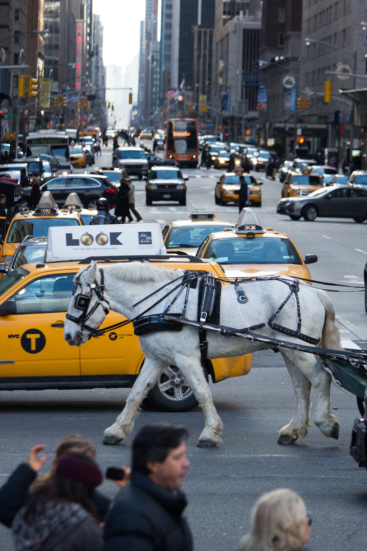 Runaway Horse Charges Through Busy N.Y.C. Intersection