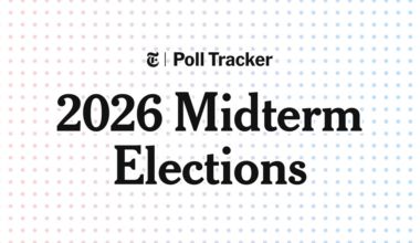 Who Is Ahead in the New York Governor's Race? Latest 2026 Election Polls