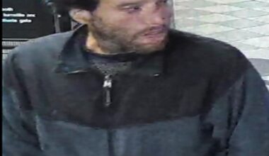 Perp shoved man onto Brooklyn subway tracks: cops