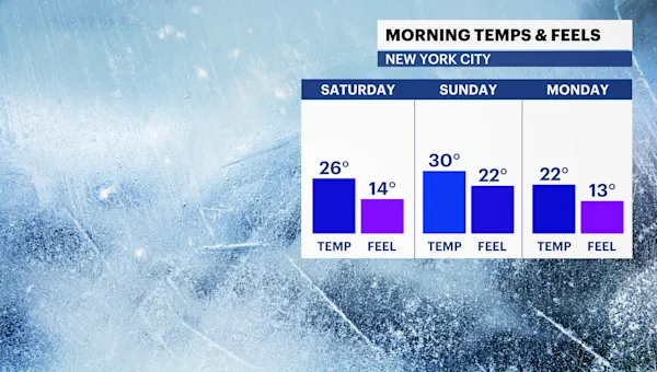 Chilly weekend ahead before milder, wetter weather for The Bronx