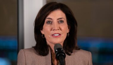 NY GOP senators urge Hochul to launch fraud probe after Minnesota allegations