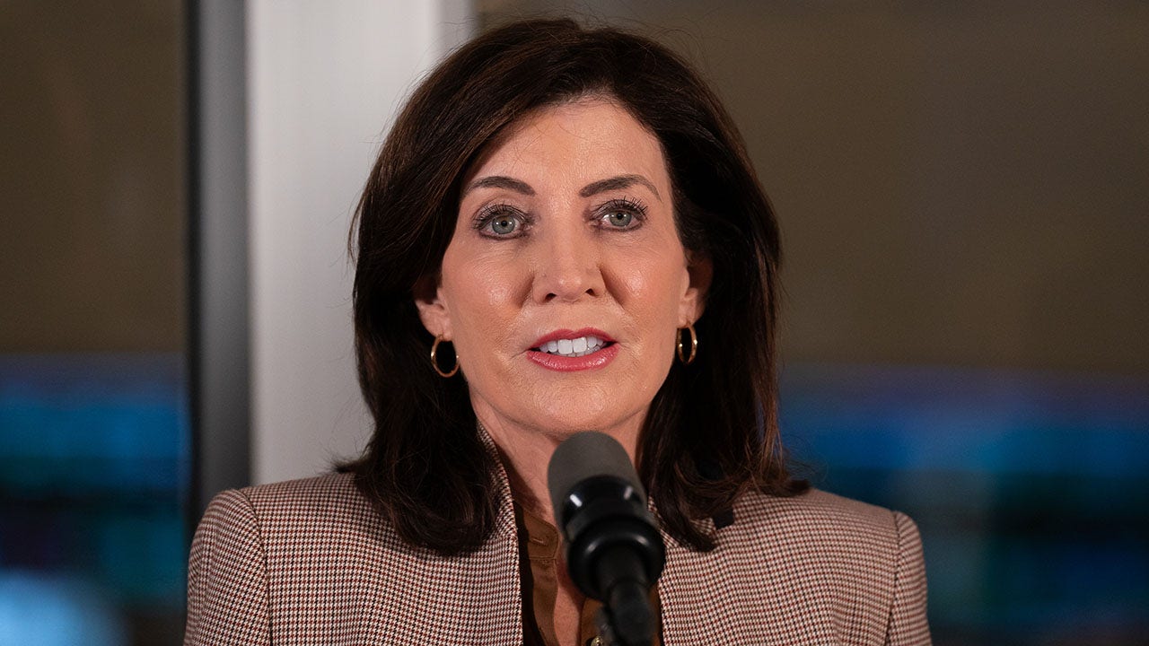 NY GOP senators urge Hochul to launch fraud probe after Minnesota allegations