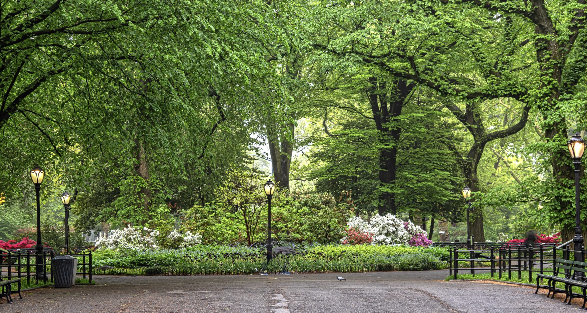 NYC Weather Warms Up With Near-Spring Temps This Weekend