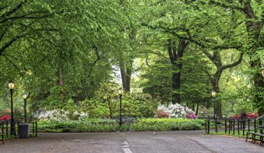 NYC Weather Warms Up With Near-Spring Temps This Weekend