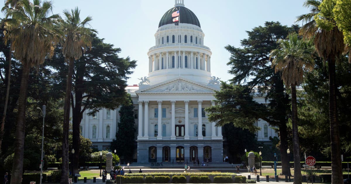 Proposed legislation in California, New York would allow residents to sue federal agents