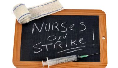 What You Need to Know and Where to Go – New York Family