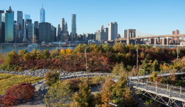 New York City Crowned the Number One Destination in the U.S. for 2026