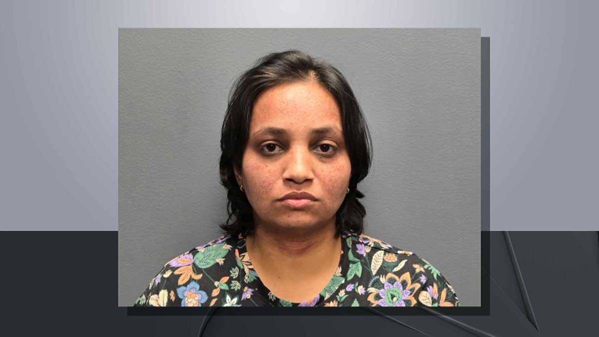 New Jersey mother accused of killing kids in Hillsborough – NBC New York