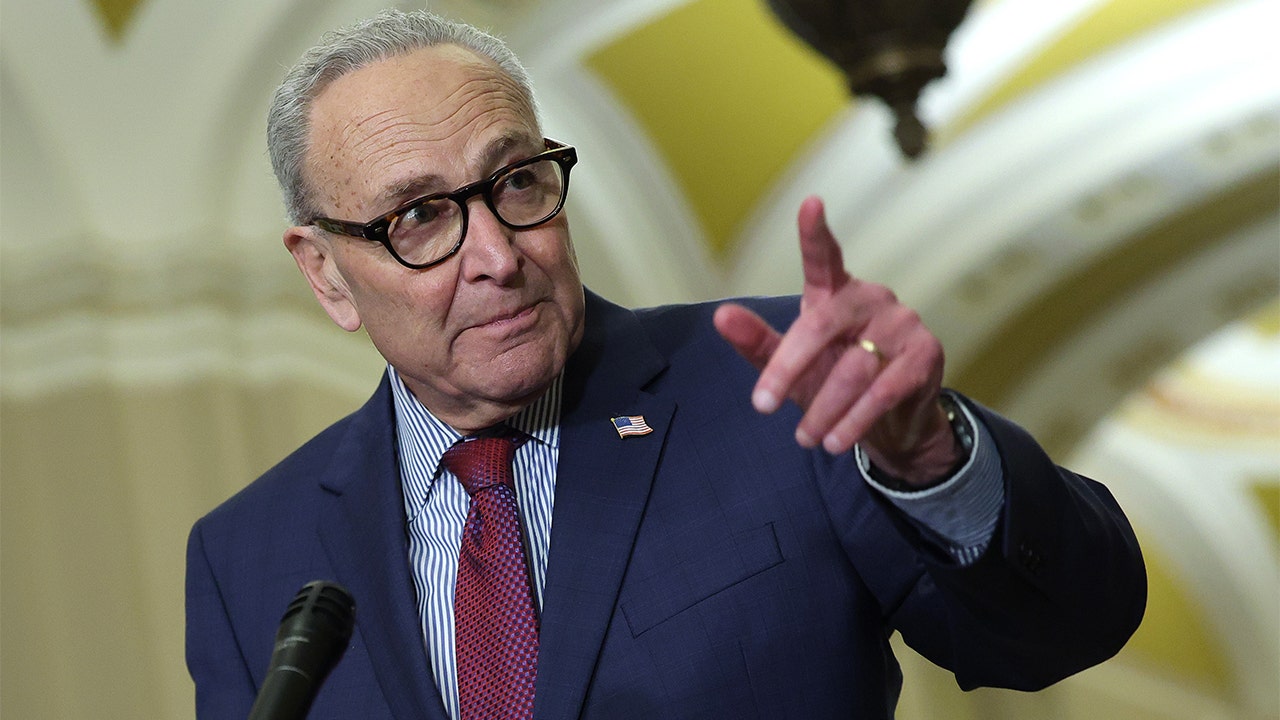 Schumer backs suggestion to send senators, NYPD to call out ICE in Minneapolis