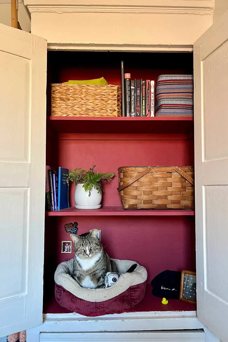 A cozy shelf with a cat in a bed, books, baskets, a plant, and decorative items against a red background.