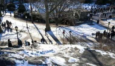 Mayor Mamdani taps longtime public servant to lead NYC parks