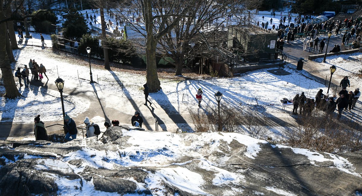 Mayor Mamdani taps longtime public servant to lead NYC parks