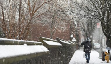 Winter Storms Impact Air Travel in New York, Bring Flakes To Florida