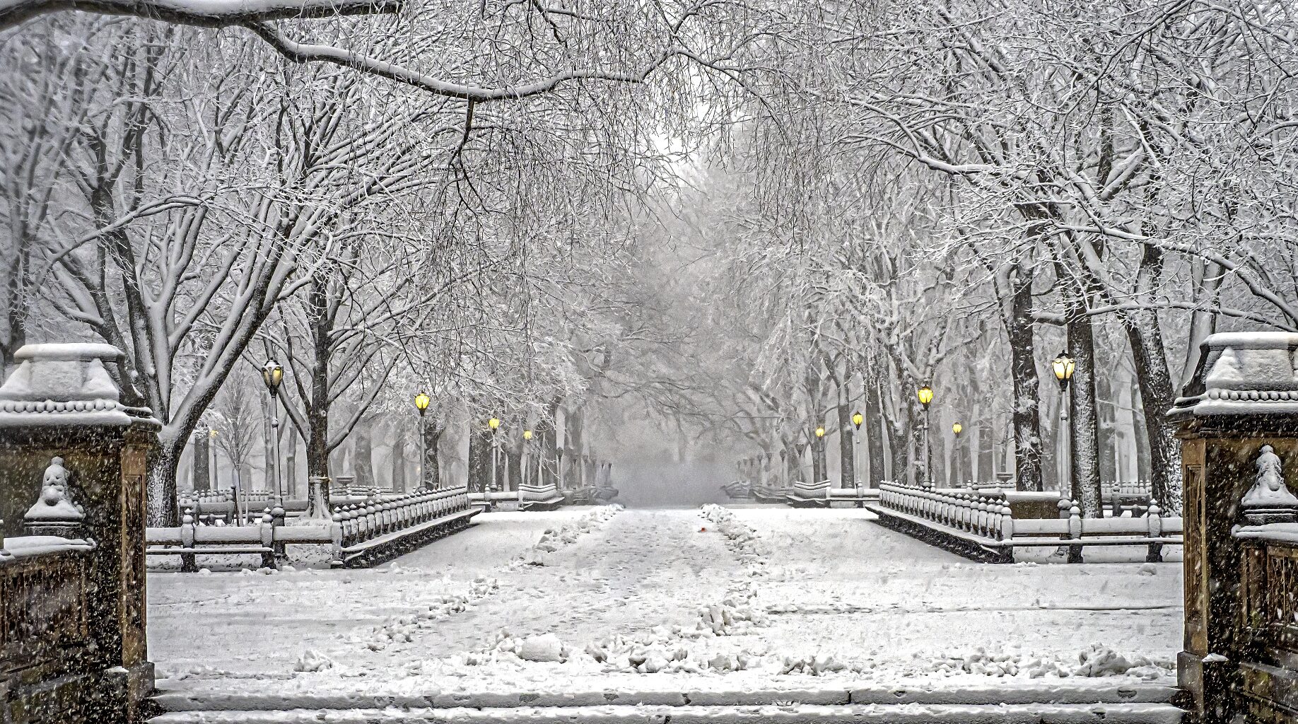 Today’s Freeze Is Just the Start as Temperatures Are Expected to Drop Even More This Weekend