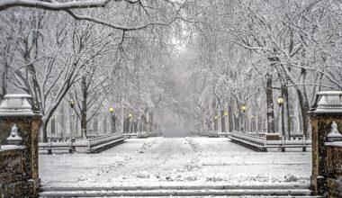 Today’s Freeze Is Just the Start as Temperatures Are Expected to Drop Even More This Weekend