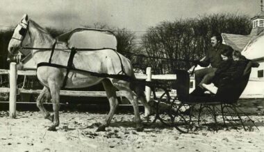 A typical snowy Staten Island day at home, work and play