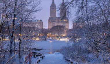 See Pictures of NYC During and After Sunday's Massive Snowstorm