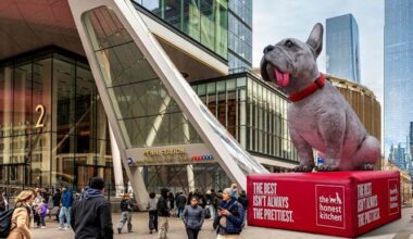 Giant Inflatable Dogs Are Taking Over NYC During Westminster Week