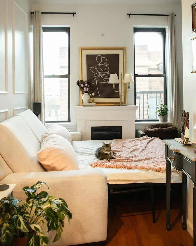 Cozy living space with a pull-out sofa, pink throw blanket, a cat resting, and decorative art on the wall.