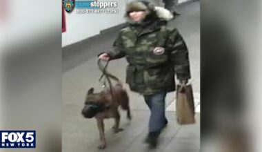 Man bitten by dog in Union Square subway station, police say