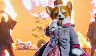 ‘The Masked Singer’: Queen Corgi chooses to leave competition; here’s who it is