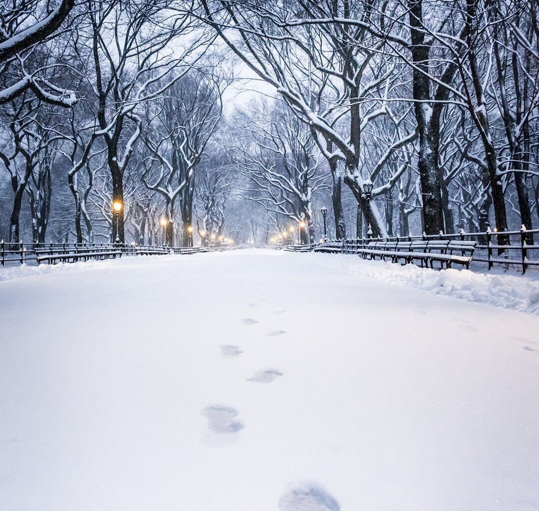 Best NYC Events In February 2025 With Things To Do In Winter