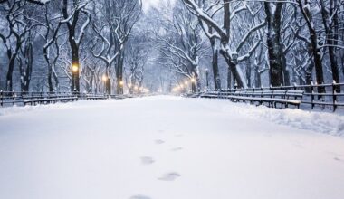 Best NYC Events In February 2025 With Things To Do In Winter