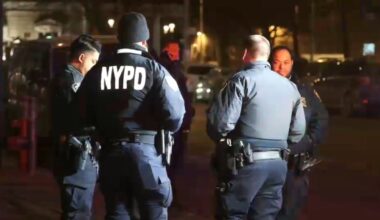 Suspect headbutts officer, spits on another officer and MTA worker in subway outburst