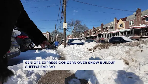 News 12 | Brooklyn | Snowed-in seniors say they can't keep up with city plows dumping over 3 feet of snow in front of Sheepshead Bay homes