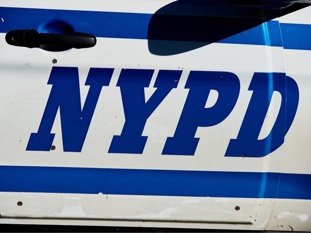 NYPD Puts Officer On Modified Duty After Raccoon Is Shot Dead In Queens