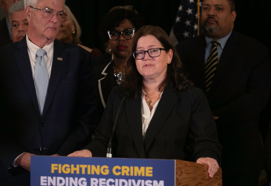 Mary Pat Donnelly, Rensselear County DA and President Elect of the DAASNY, speaking at a podium.