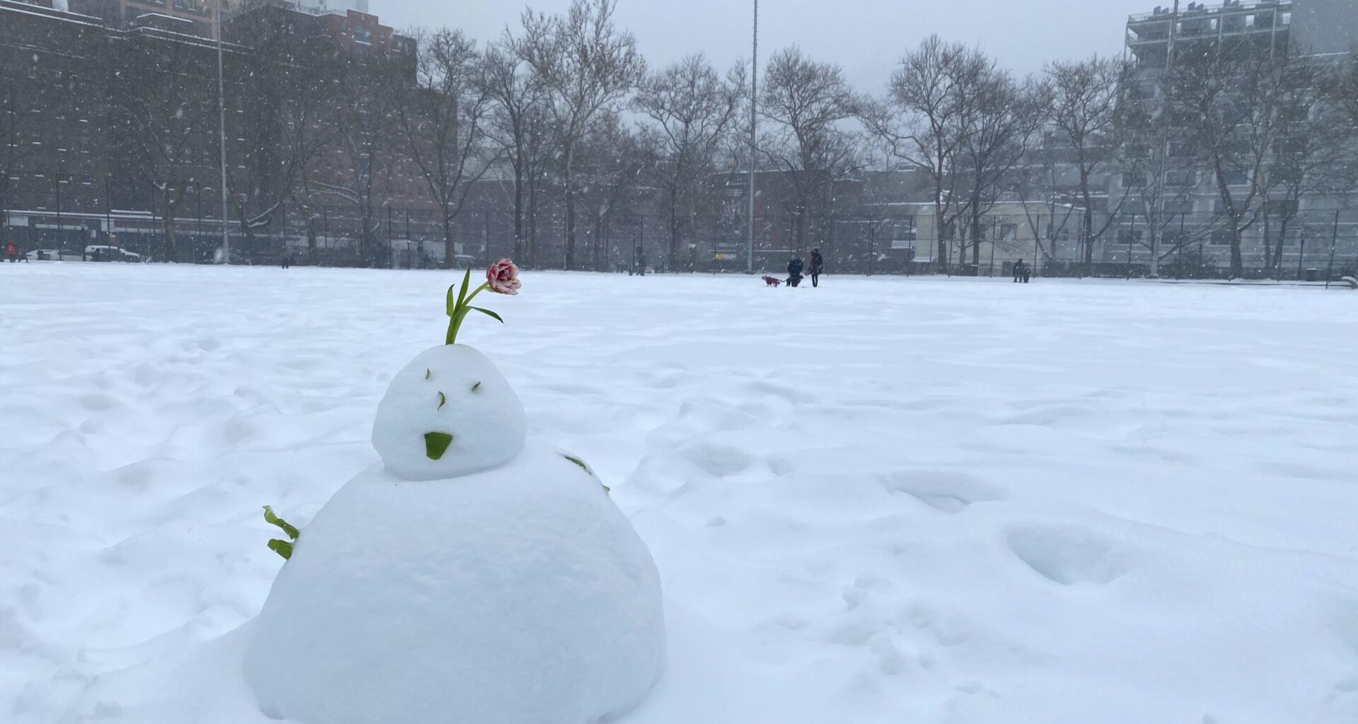 From Shovels to Sleds — Snow Day in Hell’s Kitchen