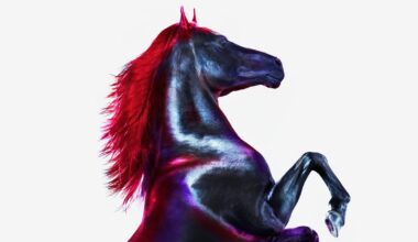 Peptides Are the New Wellness Cure-All