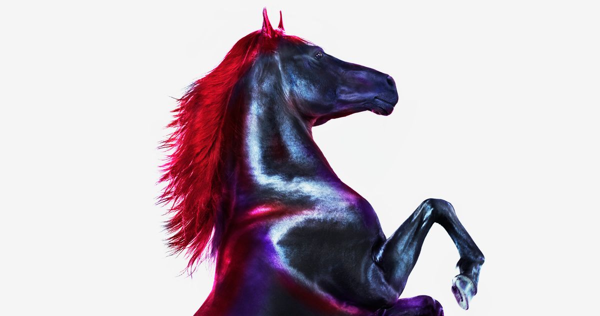 Peptides Are the New Wellness Cure-All