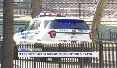 News 12 | Brooklyn | Three arrested after shooting and brawl outside Bushwick NYCHA building