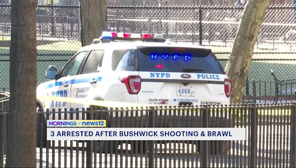 News 12 | Brooklyn | Three arrested after shooting and brawl outside Bushwick NYCHA building