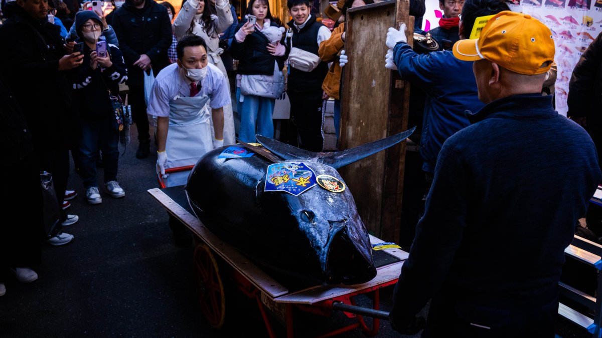 Bluefin tuna sells for record $3.2M at auction at Tokyo market – NBC New York
