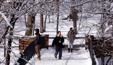 Forecast predicts snow, ice, cold weather from Texas to NYC