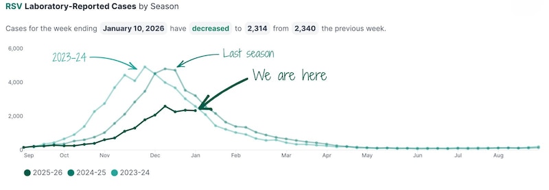 A line chart shows RSV cases in New York City.