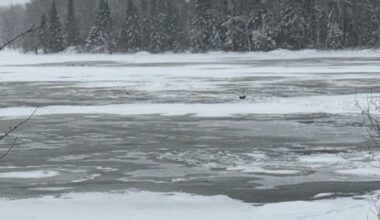 Police ID people who died & survived fall through ice