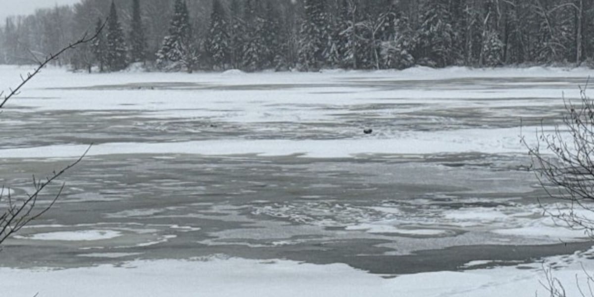 Police ID people who died & survived fall through ice