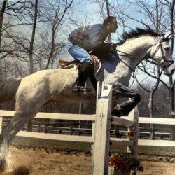 Anthony Danza and New Testament in mid-flight. Photo courtesy of Jamaica Bay Riding Academy
