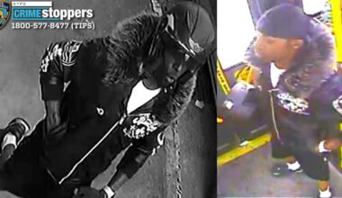 Bronx man stabbed to death near pizzeria a short walk from his home: cops – amNewYork