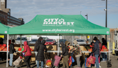 3ec309fb 1008 465b 81ad 6d294bd4fbcf