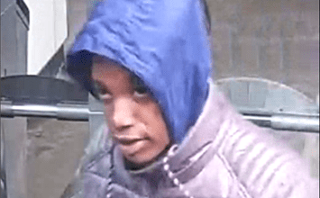 Mt. Hope: Person Sought for Snatching Cellphones inside Subway Stations