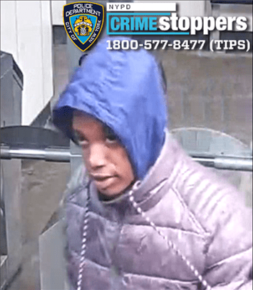 Mt. Hope: Person Sought for Snatching Cellphones inside Subway Stations