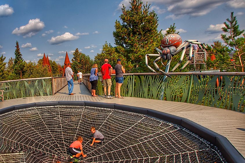 The Wild Center in Tupper Lake, New York. 