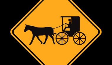 Ogdensburg woman cited after alleged hit-and-run with an Amish buggy