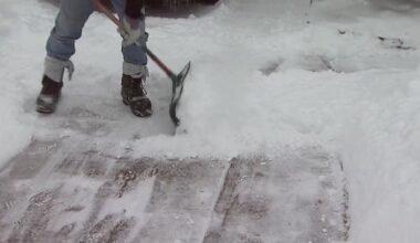 Brooklyn Snow Patrol program helps seniors dig out, and brings neighbors together