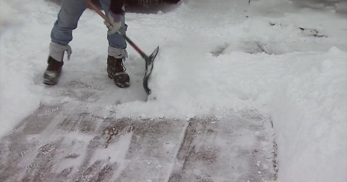 Brooklyn Snow Patrol program helps seniors dig out, and brings neighbors together